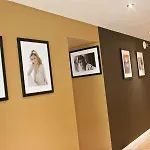 فندق ذا دافوديل هوتل آند سبا