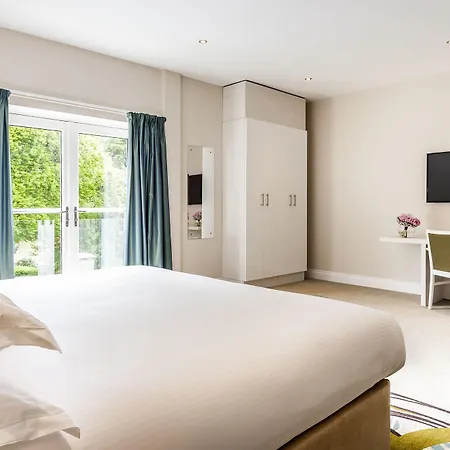 Daffodil Y Hotel 4*