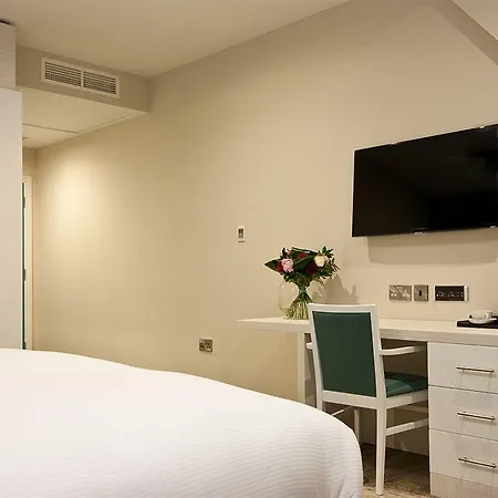 Daffodil Y Hotel