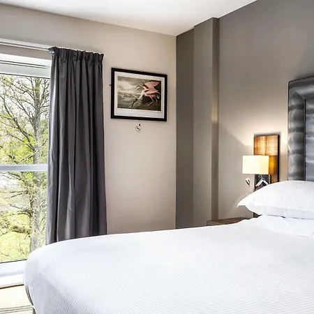 The Daffodil & Grasmere